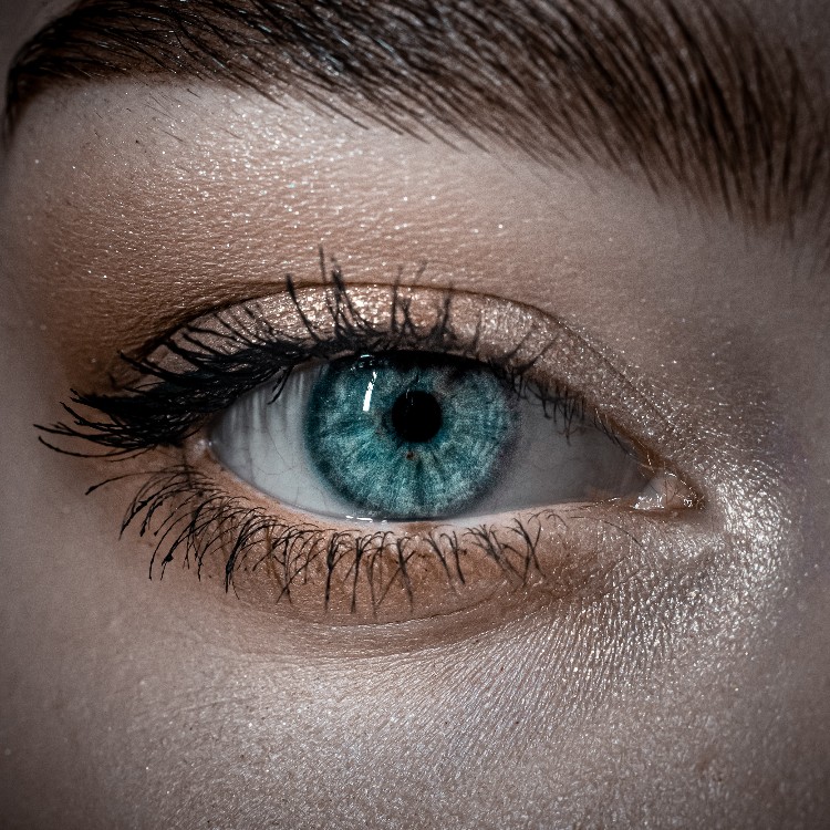 Female eye with makeup.